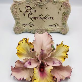 Porcelana italiana.