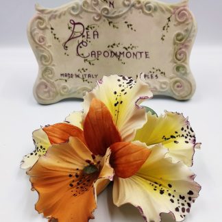 Porcelana italiana.